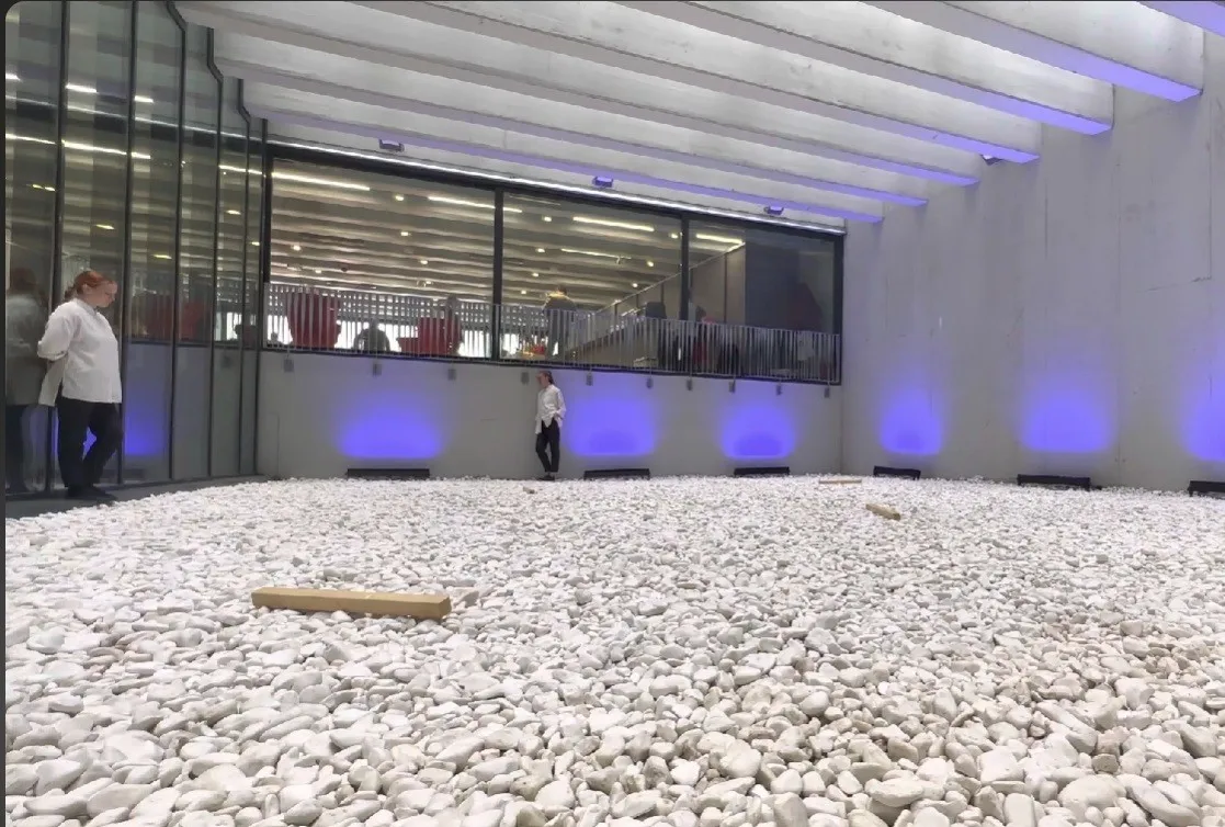 Lost Bird — Performative Installation