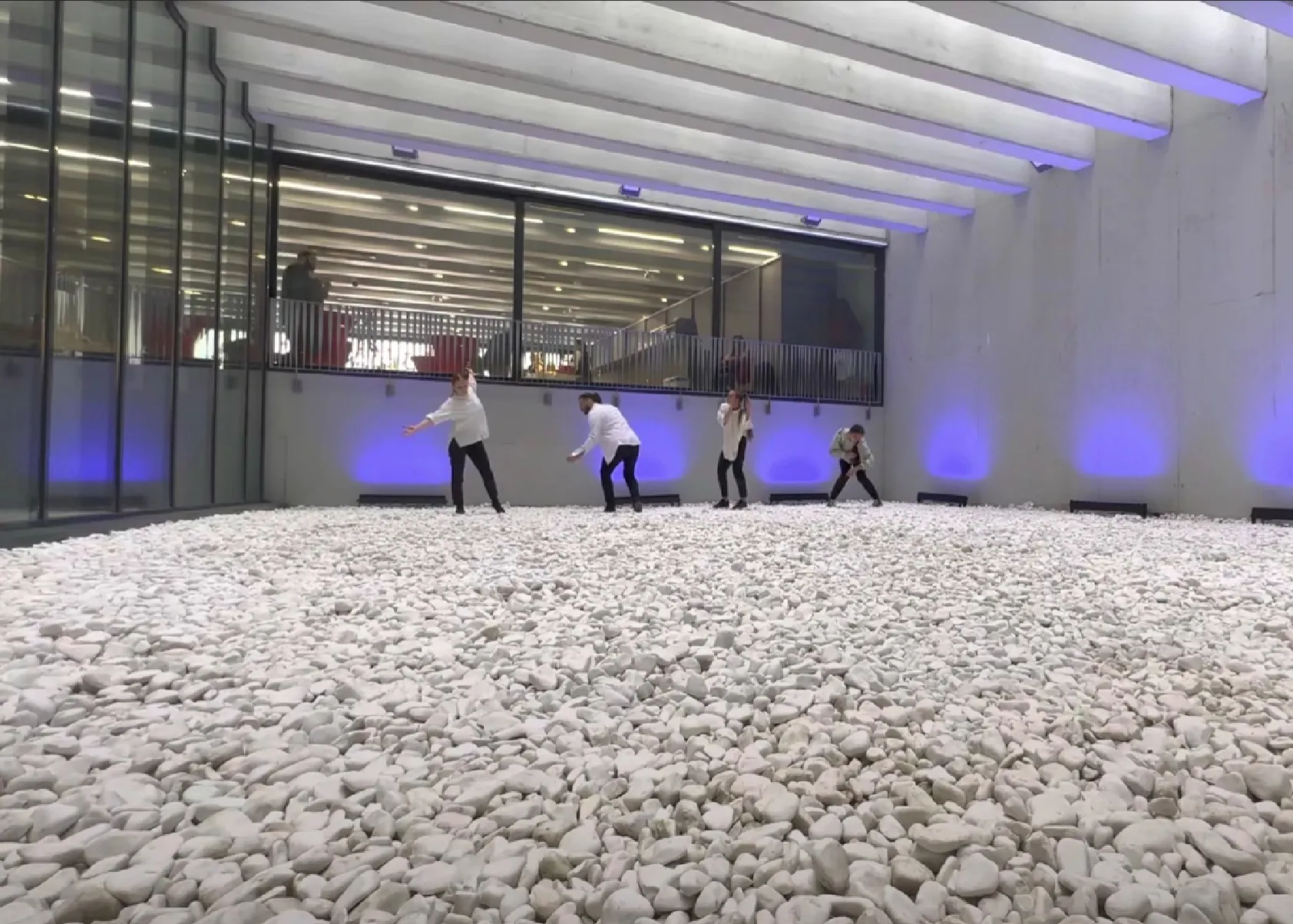 Lost Bird — Performative Installation — photo 1 / 4